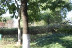2025-07-15_15-08-39_0612833D-E900-4113-989D-D32387467F20.jpeg