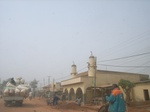 9165RIMG0246.JPG