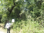 7745gt013a-forests-y-sec.jpg