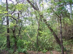 1714619042008(61).JPG