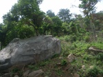 3763RIMG0067.JPG
