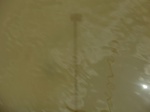 58600CIMG3050.JPG