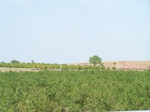 1769322042008(72).JPG