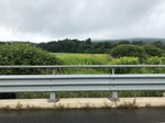 2017-08-16_09-53-12_W.jpg