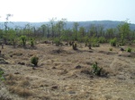 506120042008(110).JPG