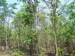 17440100_2128.JPG