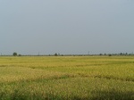 17345100_2031.JPG