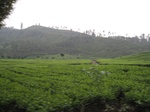 18047IMG_3846.JPG