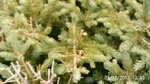 2012-09-27_14-25-40_278.JPG
