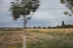 2019-10-16_13-15-19_4E8A5298.JPG