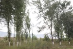 2019-10-15_12-00-06_4E8A1897.JPG