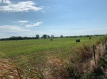 2020-08-07_10-17-35_2020-8-7-10-10-57.jpg