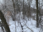 2020-02-21_10-59-47_6E4D0891-09E8-4ED4-A198-04060CFFE054.jpg