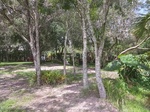 2017-07-05_14-08-17_0702171227a_HDR.jpg