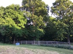 2018-05-26_19-04-50_5753931B-CC22-49F0-8E34-98B34C08EB71.jpg