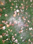 2012-09-21_21-43-32_IN-FY-2-2.JPG