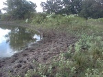 2012-09-03_20-32-43_IMG130.jpeg