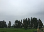 2017-09-10_20-48-48_02D2D425-7573-4C9C-87C2-668F3E143FE1.jpg