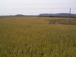 3210R0017244.JPG