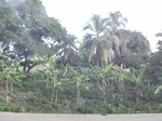 5786100_1384.JPG