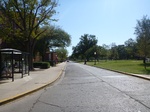 39511P1010127.JPG
