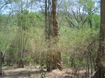 1789727042008(31).JPG
