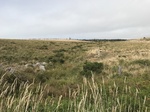 2018-09-03_11-50-24_4CAD96B4-8E08-4B13-859E-5FA3F3409EEE.jpg