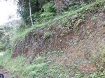 5557100_0946.JPG