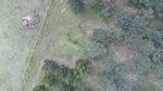 2017-06-12_13-57-37_DJI_0027.jpg