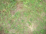 2018-06-02_15-03-43_DSC02510.JPG