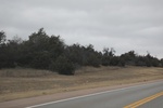 2018-04-30_12-29-07_2017-12-28 12.42.20.jpg