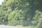 2022-06-12_15-03-43_29275357-5AA0-45E7-A961-BE983E27DE35.jpeg