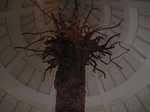 14881IMG_5275.JPG