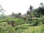 15319IMG_4157.JPG