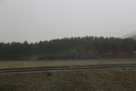 2017-05-12_17-07-52_2017-05-04 21.02.13.jpg