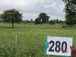 73260280a-rainfed-agriculture-soyabean.jpg