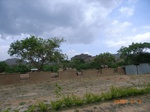 8896nigeria 108.jpg