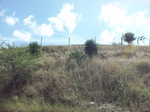5817100_1468.JPG