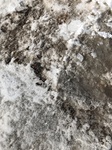 2018-03-16_15-02-50_D5474CA2-2C21-4F93-A6BD-8E31079AB05F.jpg