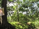 13981IMG_4288.JPG
