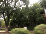 2017-09-10_20-40-55_E65DD1A4-52D9-4D33-B629-6A20AE7EF1D7.jpg