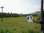 6247041d-irrigated-supplemental-groundwater-rice-sugarcane-plantation-doublecrop-coconut(plantation).jpg