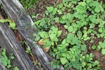 2018-04-14_14-44-53_2017-06-26 21.20.58.jpg