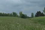 2017-05-27_13-02-39_South(N43.05266.W077.25584).JPG