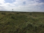 2016-08-08_07-53-51_48FEAF21-7CC7-4B6A-8CFA-FE4282301876.jpg