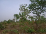 3830RIMG0134.JPG