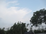 13381IMG_3743.JPG