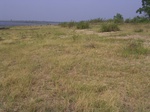 516R0015062.jpg