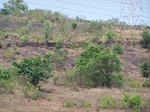 1730420042008(86).JPG