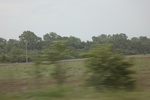 2022-06-11_17-54-52_C70143D4-2C54-45B7-87A9-0EE5F8AD488F.jpeg